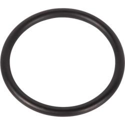 New Holland TT75 14463981 Ring Fkw