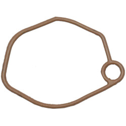 Karbiuratoriaus tarpinė 1704301770001