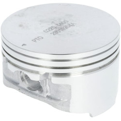 Stūmoklis 1300302250001