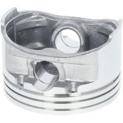 Stūmoklis 1300302250001