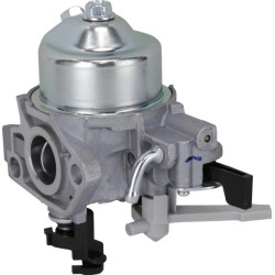 Karbiuratorius 1700222400001