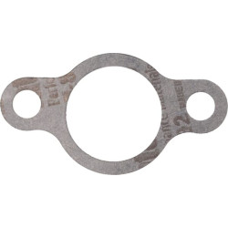 Karbiuratoriaus tarpinė 1704300610001