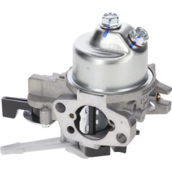Karbiuratorius 1700221400001