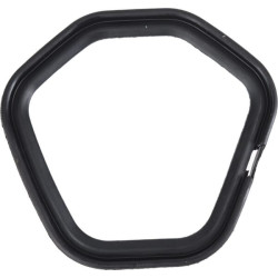 Galvutės dangtelio tarpinė 3808404250001