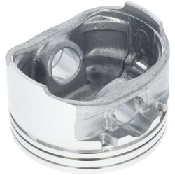 Stūmoklis 1300302250001