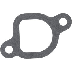 Karbiuratoriaus tarpinė 1704301060001