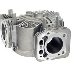 Karterio korpusas 1108103010001