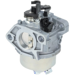 Karbiuratorius 1700219220001