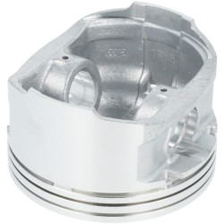 Stūmoklis 1300302890001