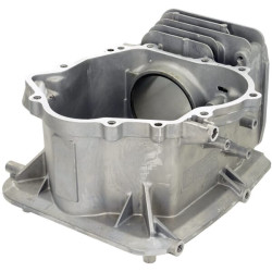 Karterio korpusas 1108104290001