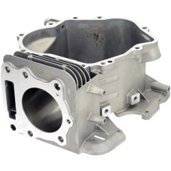 Karterio korpusas 1108104290001