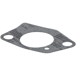 Karbiuratoriaus tarpinė 1704300990001