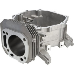 Karterio korpusas 1108101670001