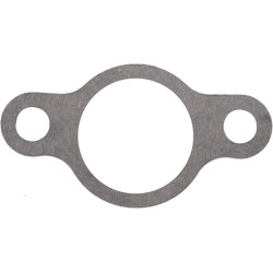 Karbiuratoriaus tarpinė 1704300610001