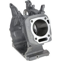 Karterio korpusas 1108100350001