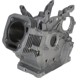 Karterio korpusas 1108100350001