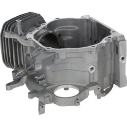 Karterio korpusas 1108100350001