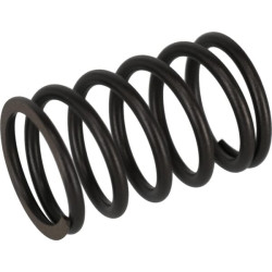 Vožtuvo vidinė spyruoklė 1403400250001