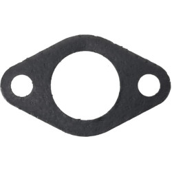 Duslintuvo tarpinė 1806500900001