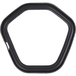 Galvutės dangtelio tarpinė 3808404250001