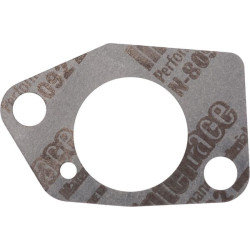 Karbiuratoriaus tarpinė 1704300500001