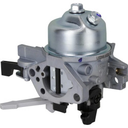 Karbiuratorius 1700221690001