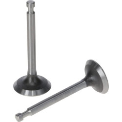 Vožtuvų komplektas 5005501290001