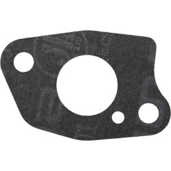 Karbiuratoriaus tarpinė 1704301380001