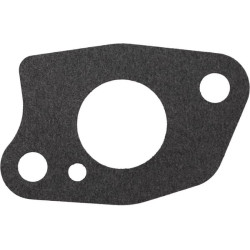 Karbiuratoriaus tarpinė 1704301380001