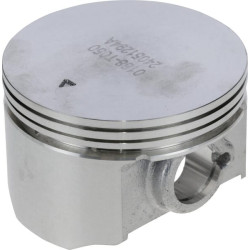 Stūmoklis 1300301880001