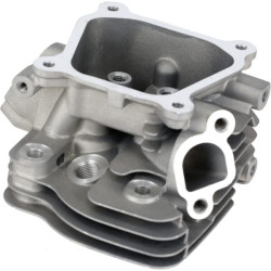 Cilindro galvutė 1200802760001