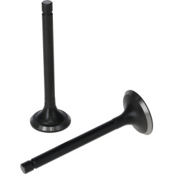 Vožtuvų komplektas 5005500310001