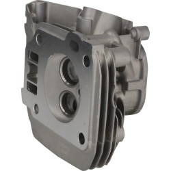 Cilindro galvutė 1200802840001