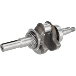 Alkūninis velenas 1302900580001