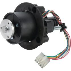 Pilnai sukomplektuotas vejapjovės variklis AK47422910