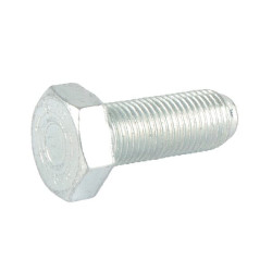 Peilio varžtas E10873ASM