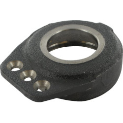 Guolio korpusas Busatis 3350920