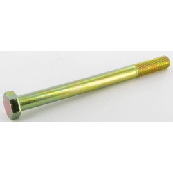 Varžtas M14x1.5x170 Busatis 5605020