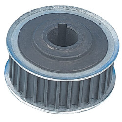 Dantytas skriemulys 28T 1256015620