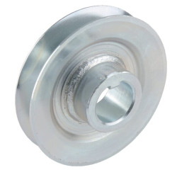 Variklio skriemulys, vienas 1256015670