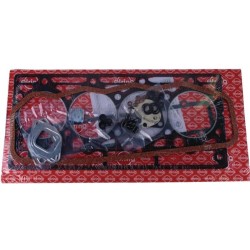 Case - IH 743 / 743XL 3136799R99ELR Cilindro galvutės tarpiklių rinkinys