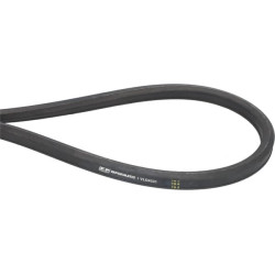 Pavaros diržas VLD4331