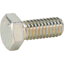 Šešiakampis varžtas 19H1900