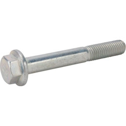 Ritininis kaištis 19M7819