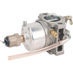 Karbiuratorius AM122698