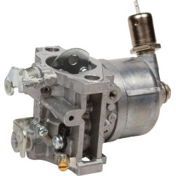 Karbiuratorius AM109205