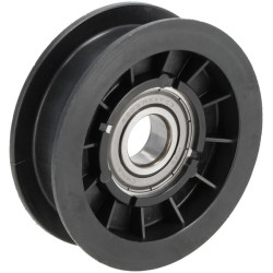 Skriemulio / B laisvosios eigos ritinėlis GX20287