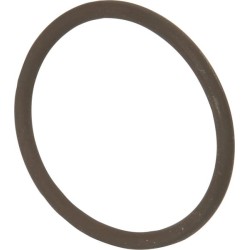 Case - IH MXM155 14458281 Ring Fkw