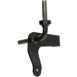 Ašies galas AM140964