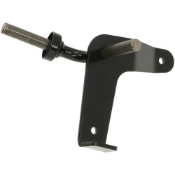 Ašies galas AM140964